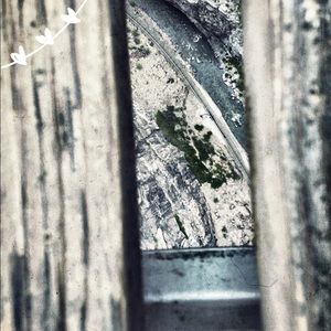 Meet your Posher, Audrey